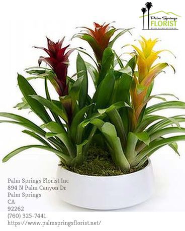 Florist Palm Springs